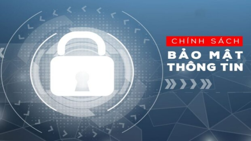 Các điều khoản ở miễn trừ trách nhiệm